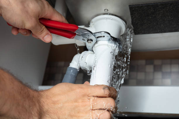 Best Water damage cleanup near me  in Bradley, IL