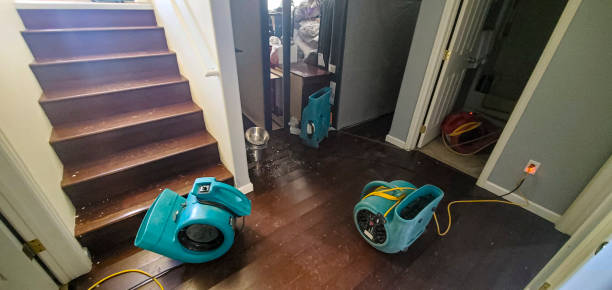Best Water damage cleanup near me  in Bradley, IL