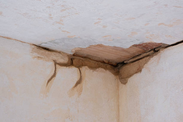 Best Water damage restoration company  in Bradley, IL