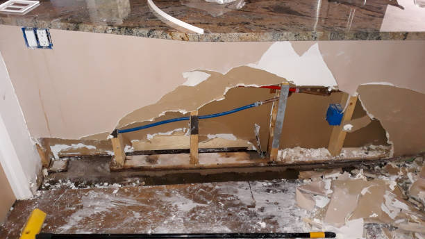 Best 24-hour water damage restoration  in Bradley, IL