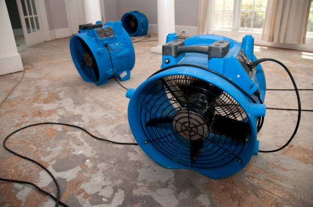 Best Flood damage cleanup  in Bradley, IL