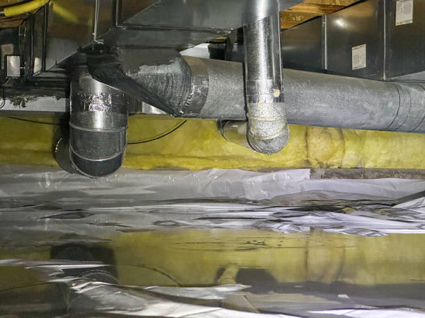 Best Water damage mitigation services  in Bradley, IL
