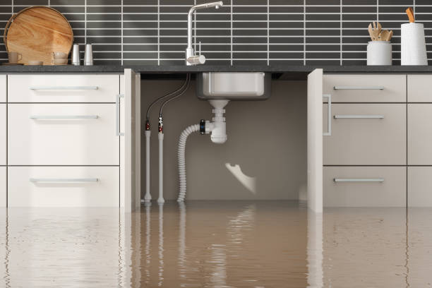 Best Flooded house restoration  in Bradley, IL
